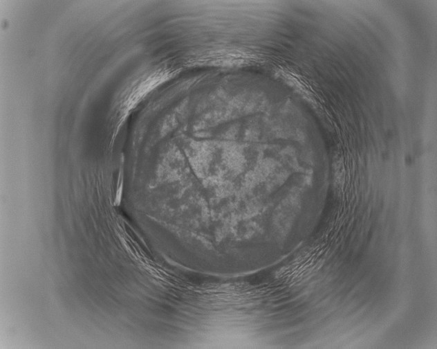 X0000058140679200510171403