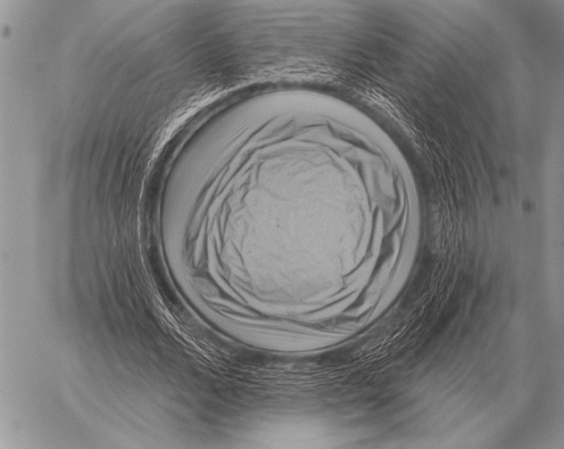 X0000058140680200510171403