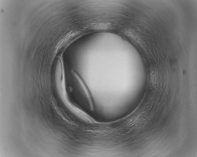 X0000058140682200510171403