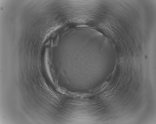 X0000058140688200510171403