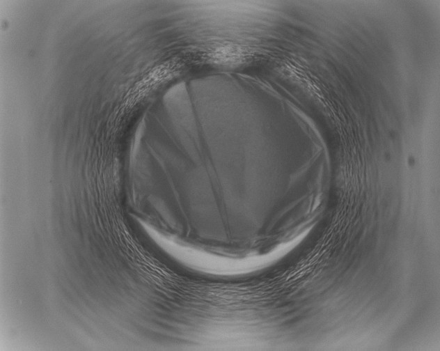 X0000058140689200510171402
