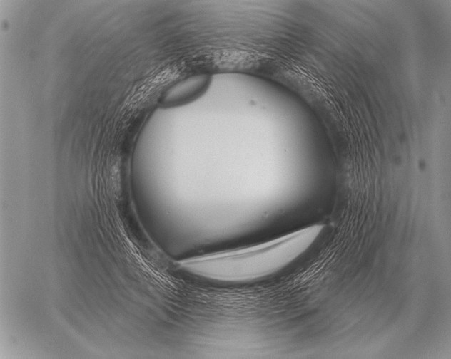 X0000058140690200510171402