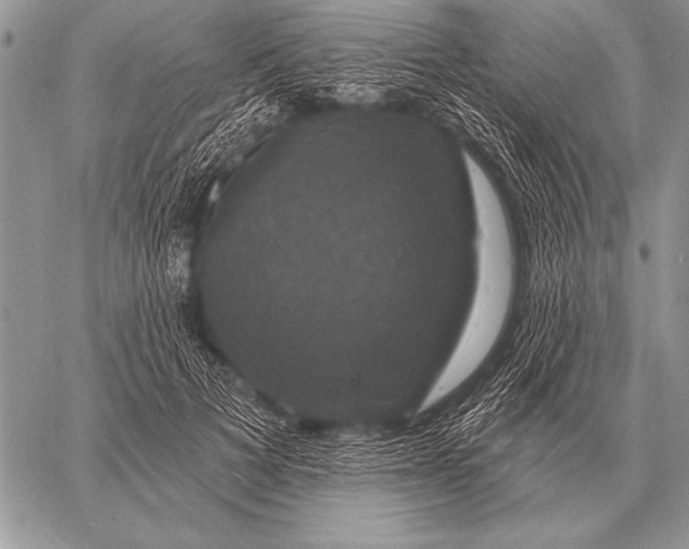 X0000058140697200510171402