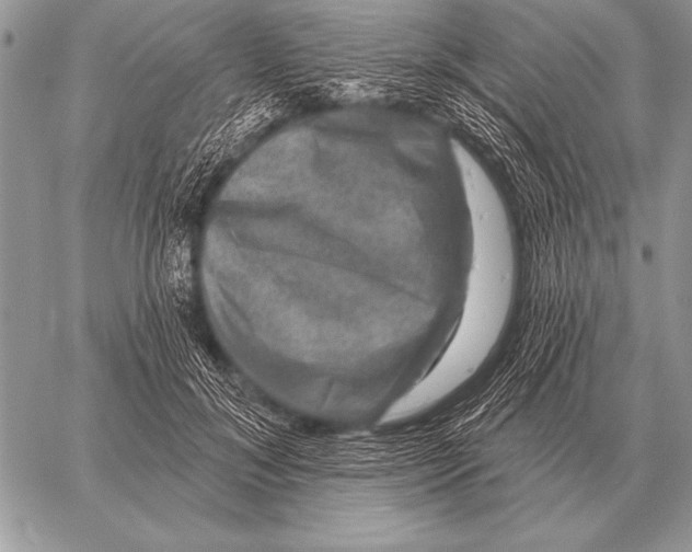X0000058140700200510171402