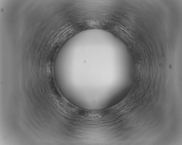 X0000058140702200510171402