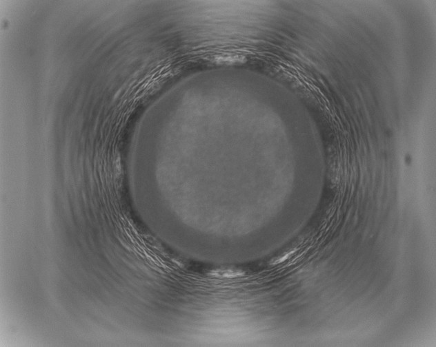 X0000058140704200510171402