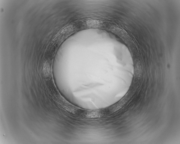 X0000058140705200510171402