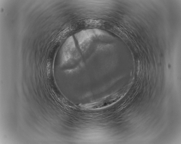 X0000058140708200510171402