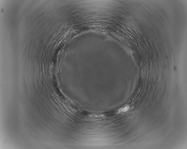 X0000058140712200510171402