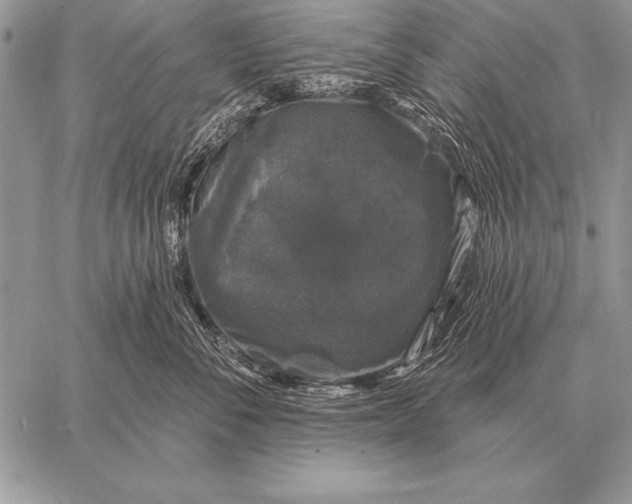 X0000058140716200510171402