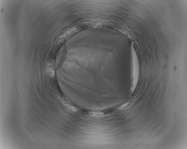 X0000058140719200510171402