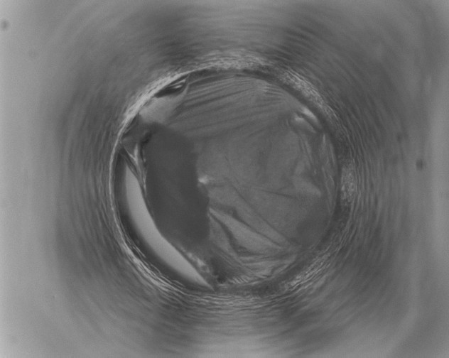 X0000058140722200510171401