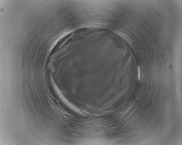 X0000058140723200510171401
