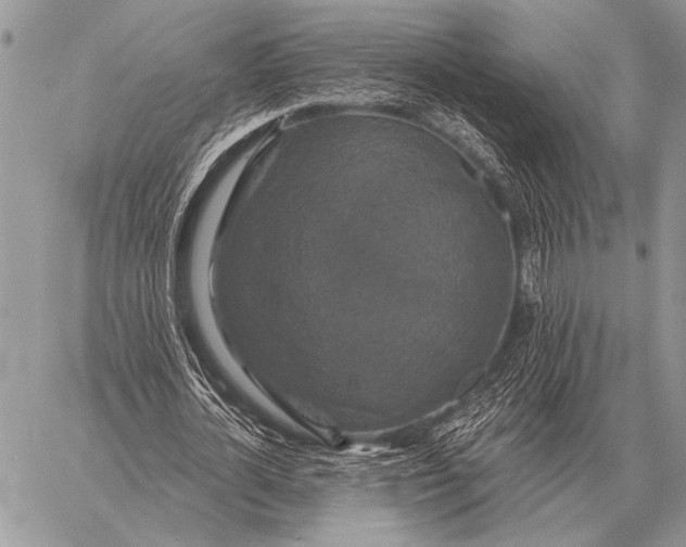 X0000058140724200510171401