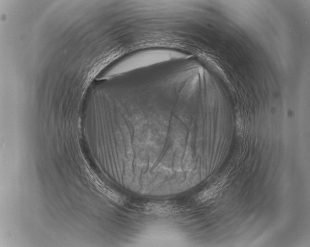 X0000058140725200510171401