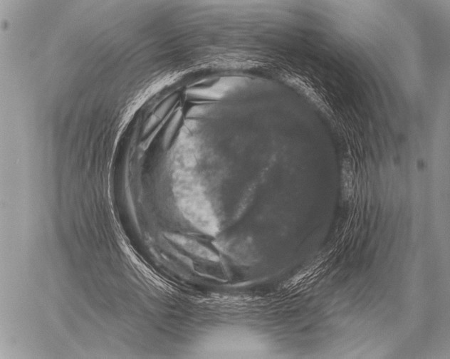 X0000058140726200510171401