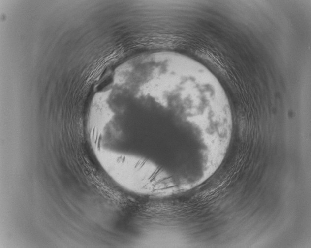 X0000058140729200510171401