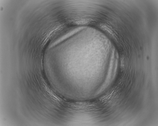 X0000058140733200510171401