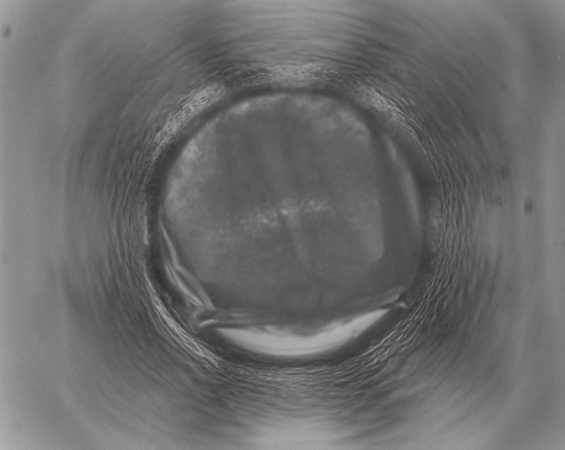 X0000058140734200510171401