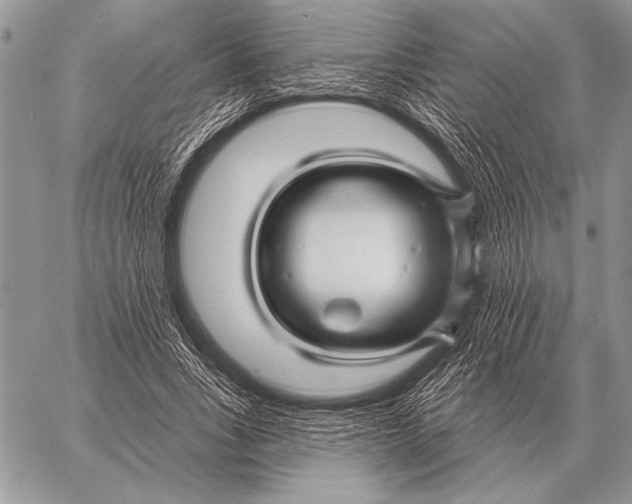 X0000058140735200510171401