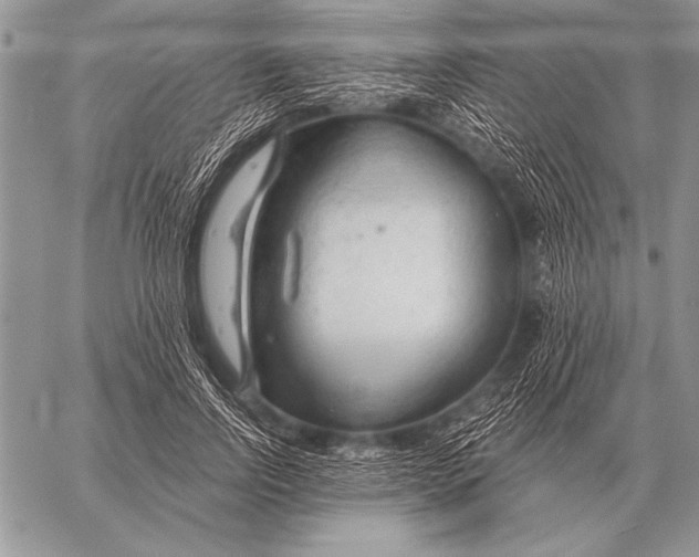 X0000058140742200510171402