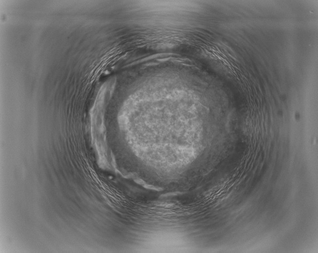 X0000058140743200510171402