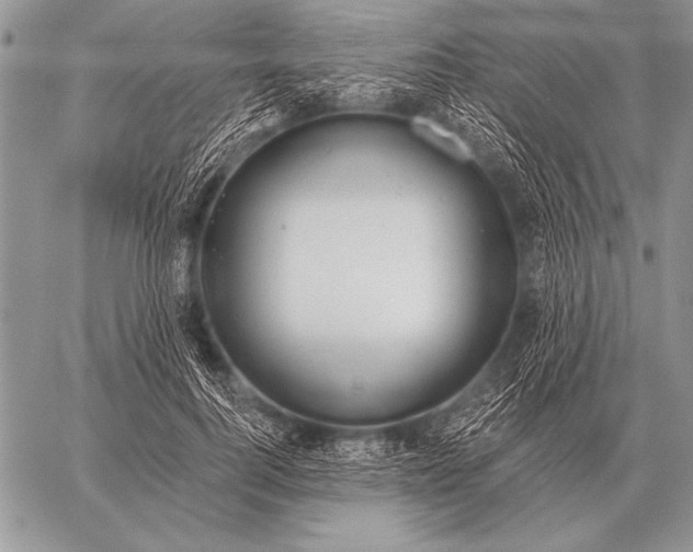 X0000058140744200510171402