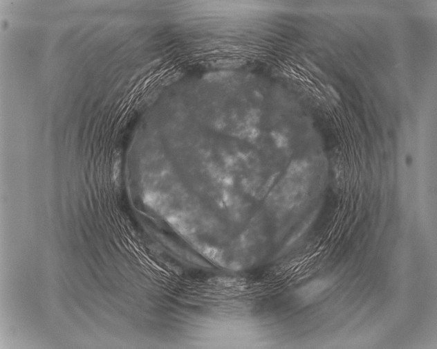 X0000058140745200510171402