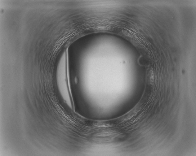 X0000058140746200510171402