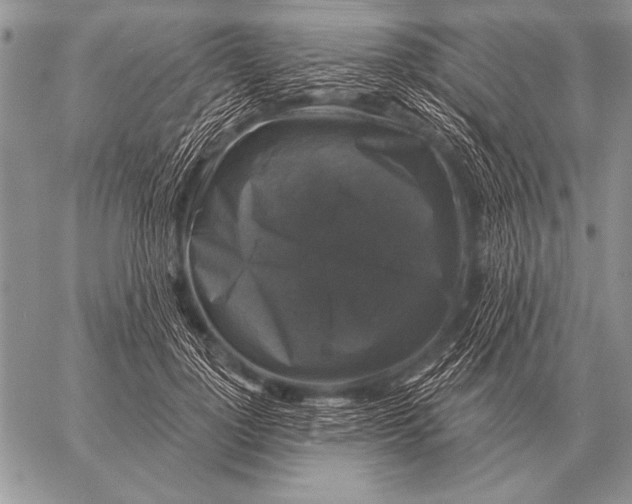 X0000058140748200510171402