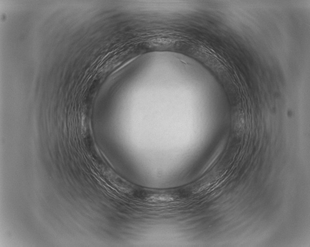 X0000058140749200510171402