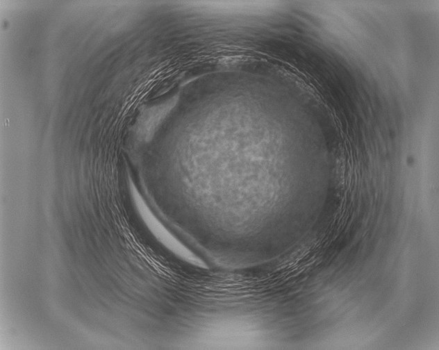 X0000058140750200510171402