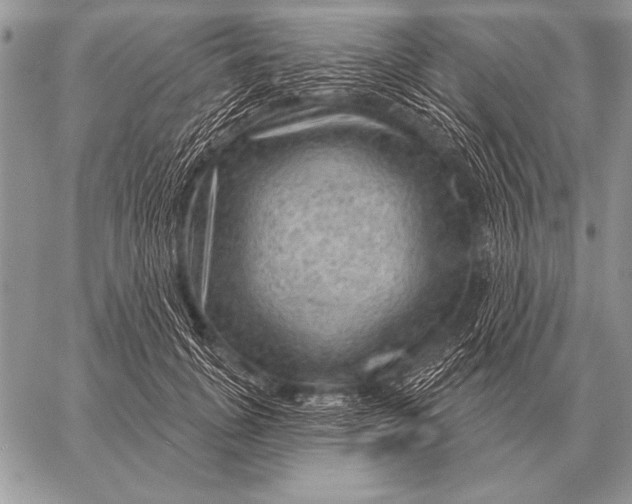 X0000058140751200510171402