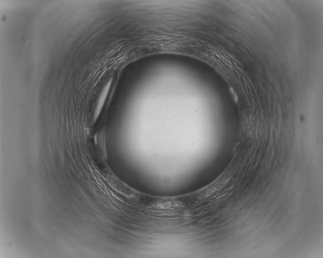 X0000058140752200510171402