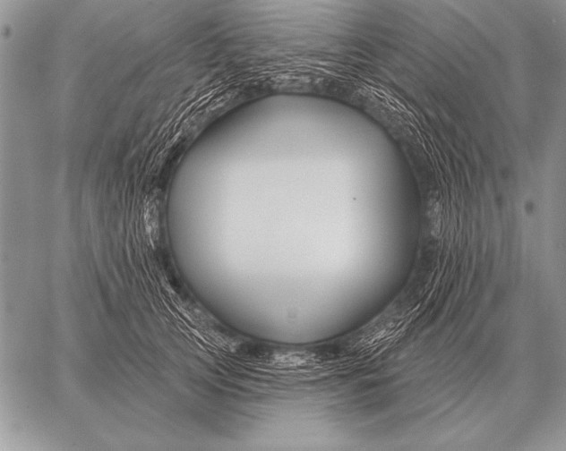 X0000058140753200510171402