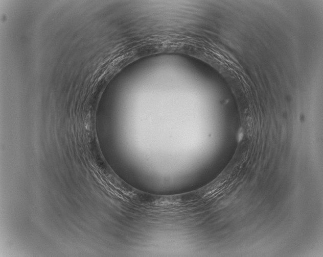 X0000058140756200510171402