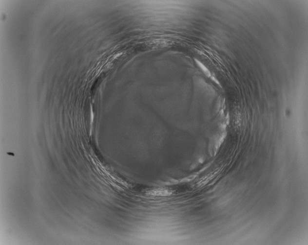 X0000058140759200510171402