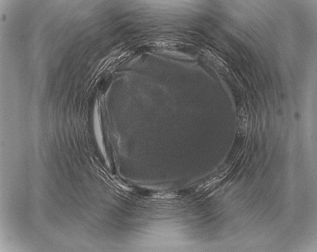 X0000058140762200510171402