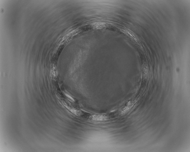 X0000058140766200510171402
