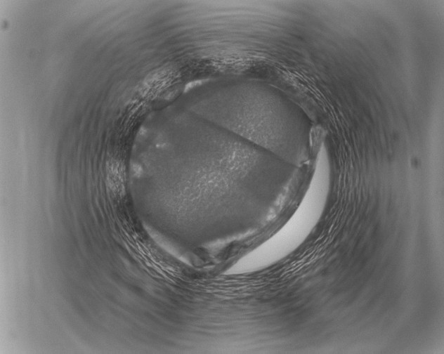 X0000058140772200510171401