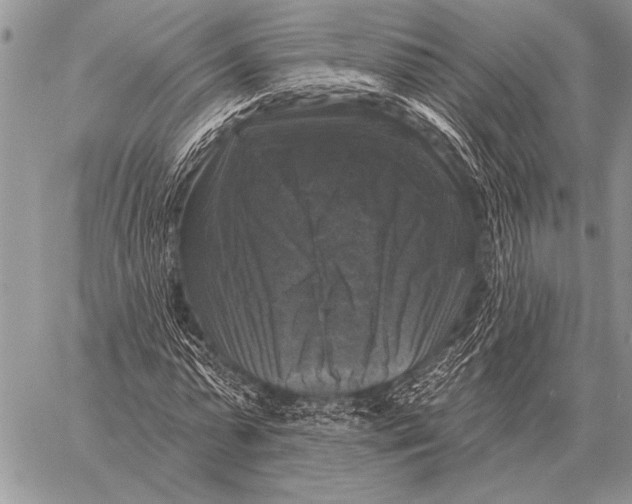 X0000058140775200510171401
