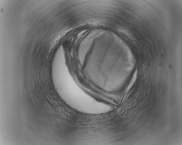 X0000058140776200510171401