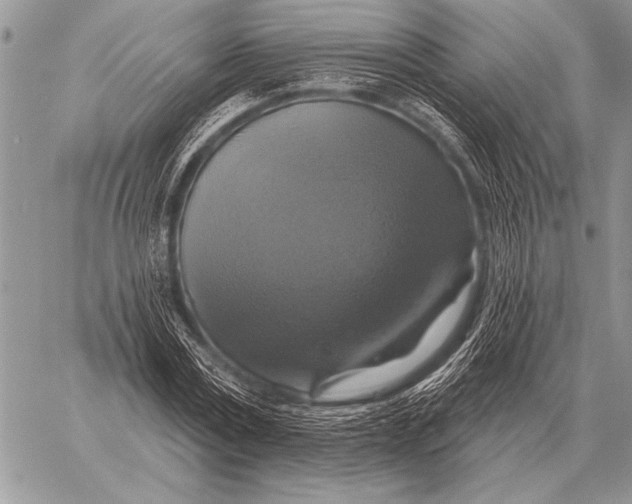 X0000058140779200510171401
