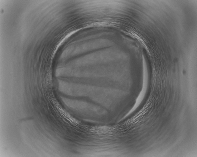 X0000058140784200510171401