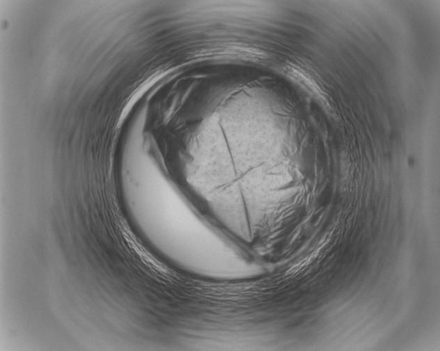 X0000058140788200510171401