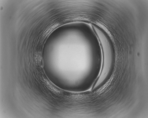 X0000058140793200510171401