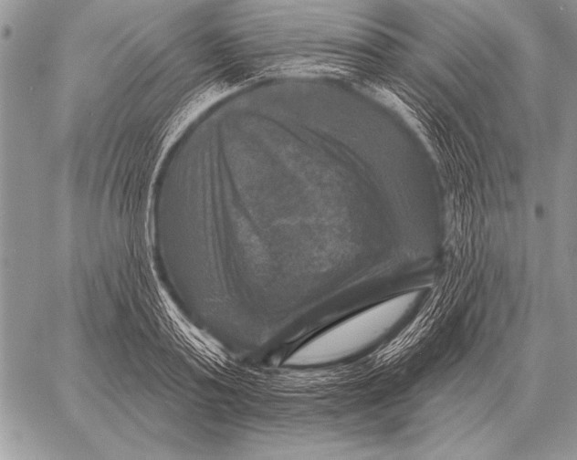 X0000058140795200510171401