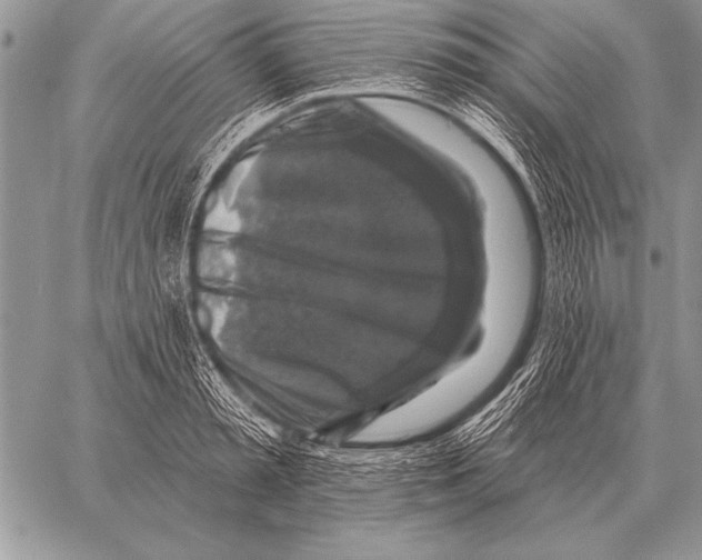 X0000058140797200510171401