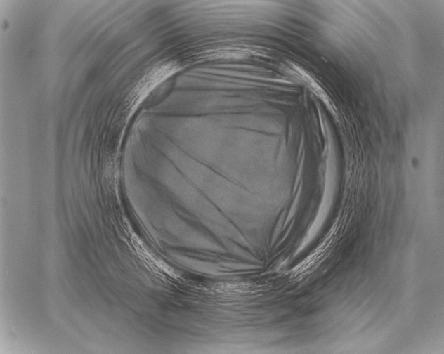 X0000058140802200510171401
