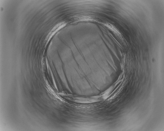 X0000058140806200510171401